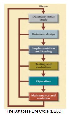 The Database Life Cycle